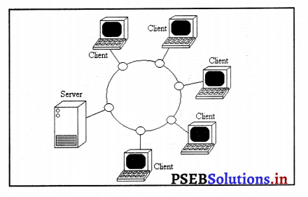 PSEB 9th Class Computer Notes Chapter 3 नेटवर्किंग 8