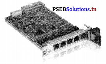 PSEB 9th Class Computer Solutions Chapter 3 नेटवर्किंग 1