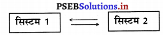 PSEB 9th Class Computer Solutions Chapter 3 नेटवर्किंग 10
