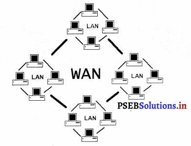 PSEB 9th Class Computer Solutions Chapter 3 नेटवर्किंग 6