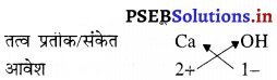 PSEB 9th Class Science Important Questions Chapter 3 परमाणु एवं अणु 13