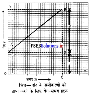 PSEB 9th Class Science Important Questions Chapter 8 गति 1