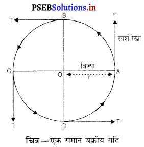 PSEB 9th Class Science Important Questions Chapter 8 गति 12