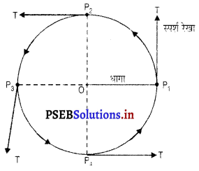 PSEB 9th Class Science Important Questions Chapter 8 गति 14