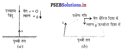 PSEB 9th Class Science Important Questions Chapter 8 गति 26