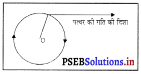 PSEB 9th Class Science Important Questions Chapter 9 बल तथा गति के नियम 3