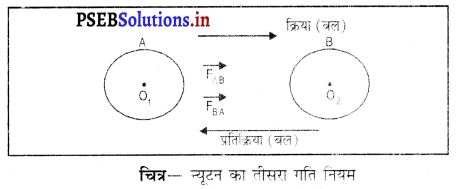 PSEB 9th Class Science Important Questions Chapter 9 बल तथा गति के नियम 5