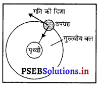PSEB 9th Class Science Solutions Chapter 11 कार्य तथा ऊर्जा 3