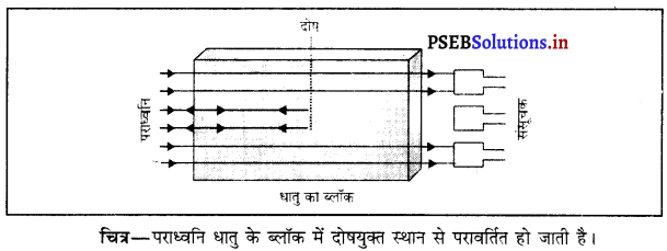 PSEB 9th Class Science Solutions Chapter 12 ध्वनि 10