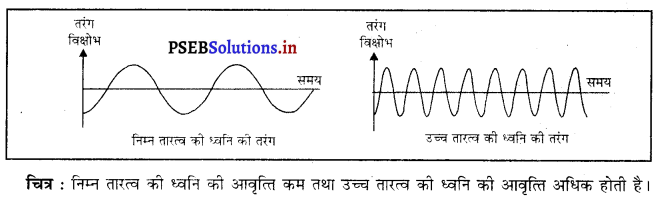 PSEB 9th Class Science Solutions Chapter 12 ध्वनि 13