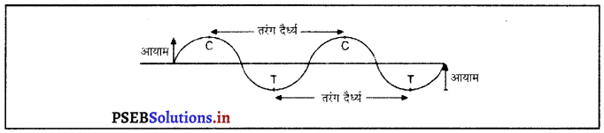 PSEB 9th Class Science Solutions Chapter 12 ध्वनि 14