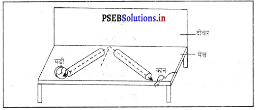 PSEB 9th Class Science Solutions Chapter 12 ध्वनि 4