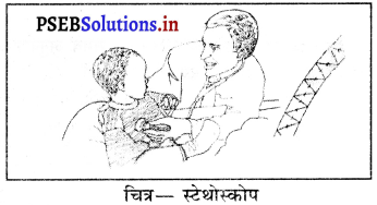 PSEB 9th Class Science Solutions Chapter 12 ध्वनि 5