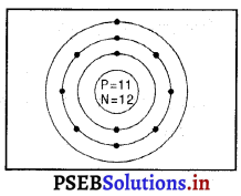 PSEB 9th Class Science Solutions Chapter 4 परमाणु की संरचना 17