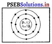 PSEB 9th Class Science Solutions Chapter 4 परमाणु की संरचना 22