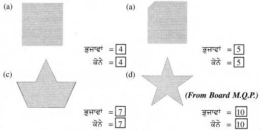 PSEB Solutions for Class 11 Maths Chapter 6 ਆਕ੍ਰਿਤੀਆਂ 12