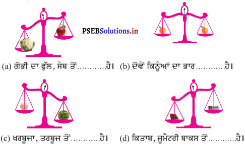 PSEB Solutions for Class 11 Maths Chapter 8 ਮਾਪ 18