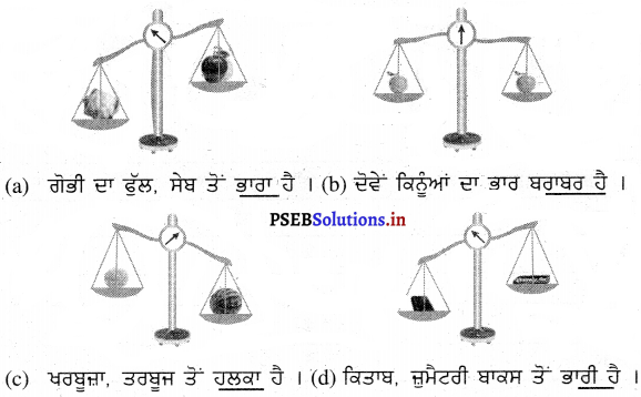 PSEB Solutions for Class 11 Maths Chapter 8 ਮਾਪ 19
