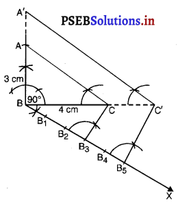 PSEB 10th Class Maths Solutions Chapter 11 वृत्त Ex 11.1 13