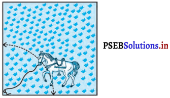 PSEB 10th Class Maths Solutions Chapter 12 वृत्तों से संबंधित क्षेत्रफल Ex 12.2 8