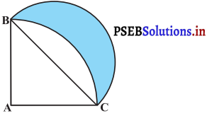 PSEB 10th Class Maths Solutions Chapter 12 वृत्तों से संबंधित क्षेत्रफल Ex 12.3 20