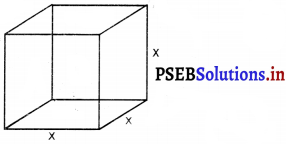 PSEB 10th Class Maths Solutions Chapter 13 पृष्ठीय क्षेत्रफल और आयतन Ex 13.1 1