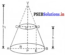 PSEB 10th Class Maths Solutions Chapter 13 पृष्ठीय क्षेत्रफल और आयतन Ex 13.5 5