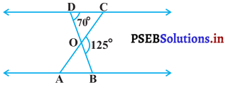 PSEB 10th Class Maths Solutions Chapter 6 त्रिभुज Ex 6.3 7