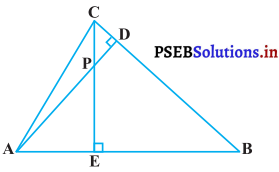 PSEB 10th Class Maths Solutions Chapter 6 त्रिभुज Ex 6.3 9