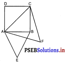 PSEB 10th Class Maths Solutions Chapter 6 त्रिभुज Ex 6.4 9
