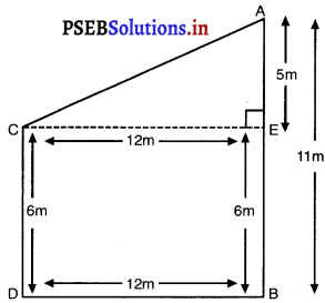 PSEB 10th Class Maths Solutions Chapter 6 त्रिभुज Ex 6.5 11