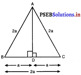 PSEB 10th Class Maths Solutions Chapter 6 त्रिभुज Ex 6.5 15
