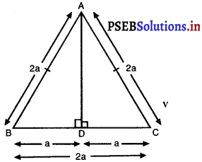 PSEB 10th Class Maths Solutions Chapter 6 त्रिभुज Ex 6.5 5