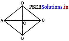 PSEB 10th Class Maths Solutions Chapter 6 त्रिभुज Ex 6.5 6