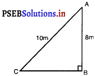 PSEB 10th Class Maths Solutions Chapter 6 त्रिभुज Ex 6.5 8