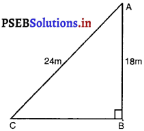 PSEB 10th Class Maths Solutions Chapter 6 त्रिभुज Ex 6.5 9
