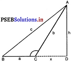 PSEB 10th Class Maths Solutions Chapter 6 त्रिभुज Ex 6.6 6
