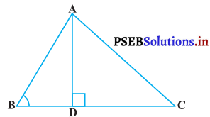 PSEB 10th Class Maths Solutions Chapter 6 त्रिभुज Ex 6.6 7