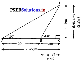 PSEB 10th Class Maths Solutions Chapter 9 त्रिकोणमिति के कुछ अनुप्रयोग Ex 9.1 15