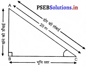 PSEB 10th Class Maths Solutions Chapter 9 त्रिकोणमिति के कुछ अनुप्रयोग Ex 9.1 2
