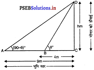 PSEB 10th Class Maths Solutions Chapter 9 त्रिकोणमिति के कुछ अनुप्रयोग Ex 9.1 22