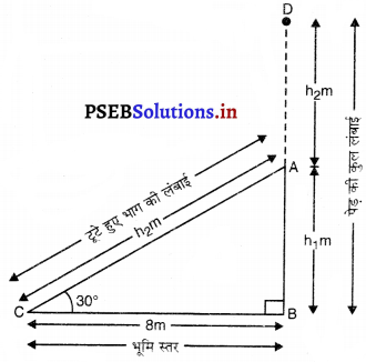 PSEB 10th Class Maths Solutions Chapter 9 त्रिकोणमिति के कुछ अनुप्रयोग Ex 9.1 3