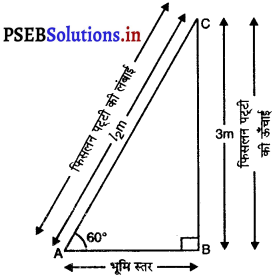 PSEB 10th Class Maths Solutions Chapter 9 त्रिकोणमिति के कुछ अनुप्रयोग Ex 9.1 6