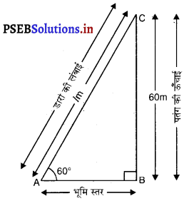 PSEB 10th Class Maths Solutions Chapter 9 त्रिकोणमिति के कुछ अनुप्रयोग Ex 9.1 8