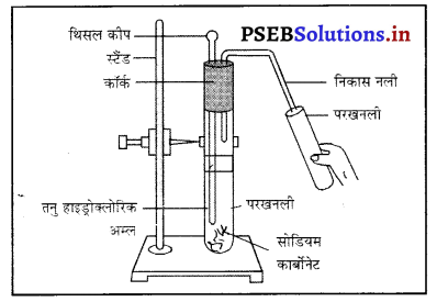 PSEB 10th Class Science Important Questions Chapter 1 रासायनिक अभिक्रियाएँ एवं समीकरण 24