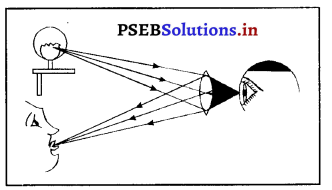 PSEB 10th Class Science Important Questions Chapter 10 प्रकाश-परावर्तन तथा अपवर्तन 27