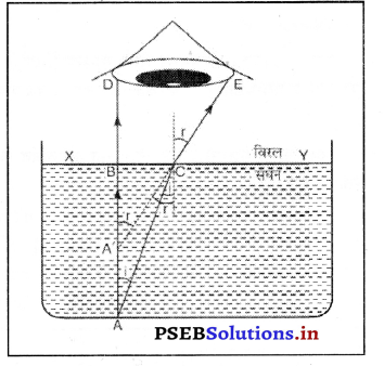 PSEB 10th Class Science Important Questions Chapter 10 प्रकाश-परावर्तन तथा अपवर्तन 35