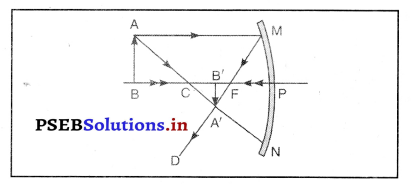 PSEB 10th Class Science Important Questions Chapter 10 प्रकाश-परावर्तन तथा अपवर्तन 56