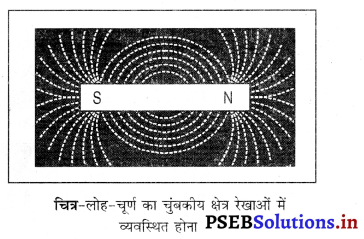 PSEB 10th Class Science Important Questions Chapter 13 विद्युत धारा के चुंबकीय प्रभाव 11