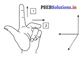 PSEB 10th Class Science Important Questions Chapter 13 विद्युत धारा के चुंबकीय प्रभाव 19